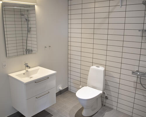 2 værelses lejlighed i Viborg