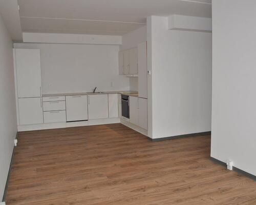 2 værelses lejlighed i Viborg