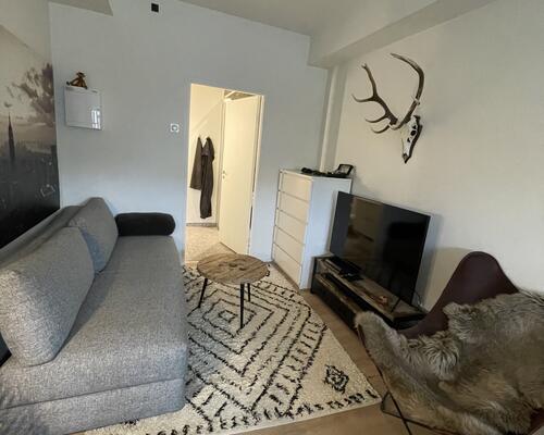 Nyere 1-værelses lejlighed tæt på alt!