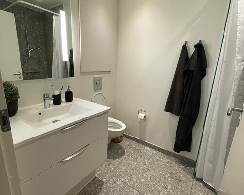 Nyere 1-værelses lejlighed tæt på alt!