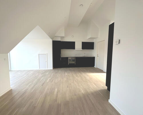 3 værelses lejlighed i Viborg