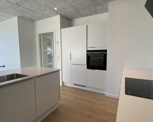 VELKOMMEN TIL RØLLIKEVEJ - NYBYGGET, ENERGIVENLIGE OG MODERNE RÆKKEHUSE TIL LEJE I ARNBJERG.