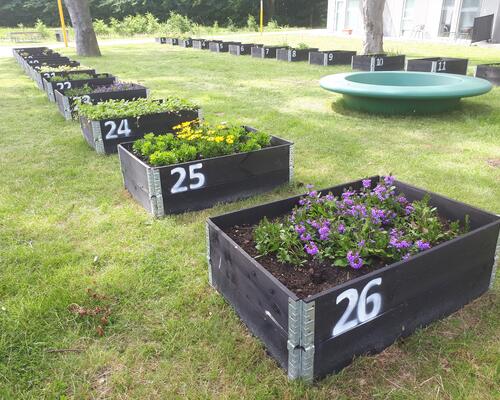 Studiebolig i Idrætsbyen