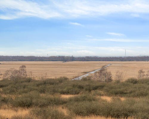 2 værelses lejlighed i København S