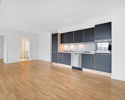 2 værelses lejlighed i København S