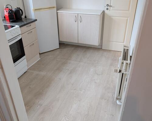 Central 2. værelses stuelejlighed på Horsensvej