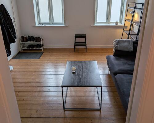 Central 2. værelses stuelejlighed på Horsensvej