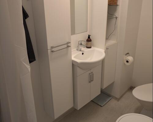 Central 2. værelses stuelejlighed på Horsensvej