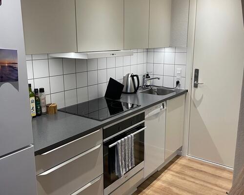 Istandsat lejlighed i midtbyen