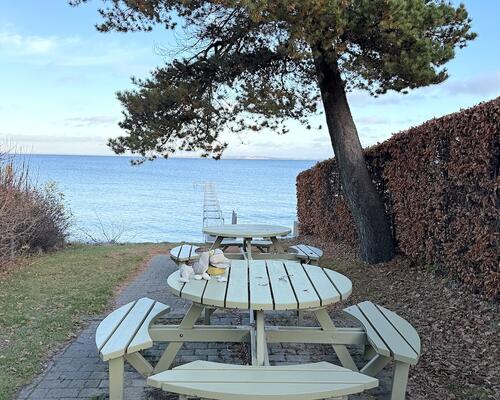 Skønt rækkehus i naturområde ved Rungsted Kyst