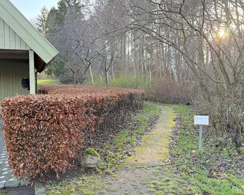 Skønt rækkehus i naturområde ved Rungsted Kyst