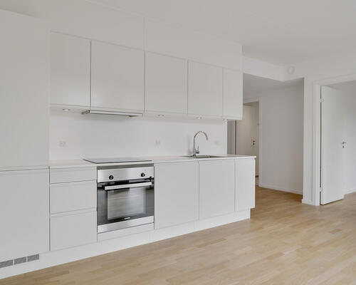 2 værelses lejlighed i København S