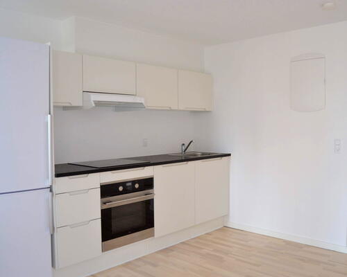 1 værelses lejlighed i Århus C