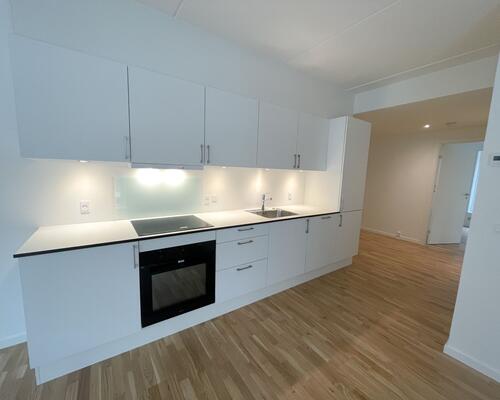 STOR DELEVENLIG 3-VÆR.