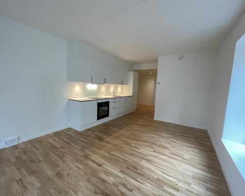 STOR DELEVENLIG 3-VÆR.