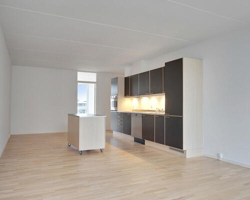 3 værelses lejlighed i København S