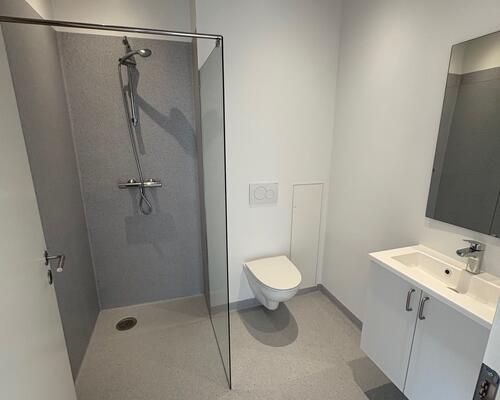 Nyrenoveret 1. værelses lejlighed