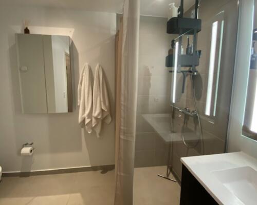 Usædvanlig liebhaverlejlighed i Salomons Palæ