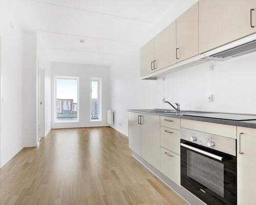 3 værelses lejlighed i Aalborg