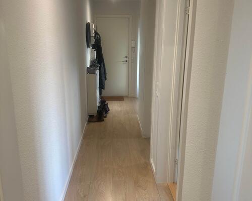 3 værelses lejlighed i Odense C