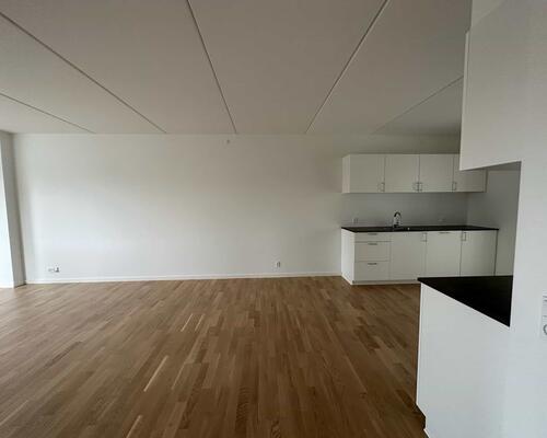 3 værelses lejlighed i Viborg