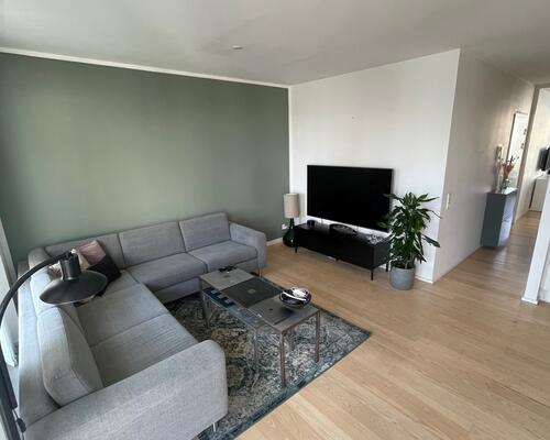 2 værelses lejlighed i København V