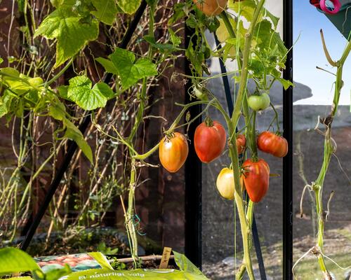 Attraktiv lejlighed med altan og terrasse i populært bofællesskab 😍<br>