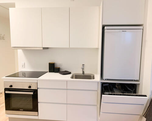 Lækker møbleret 2-værelses lejlighed tæt på universitetet