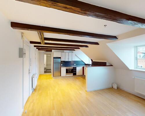 Indbydende lejlighed med central beliggenhed i Aalborg