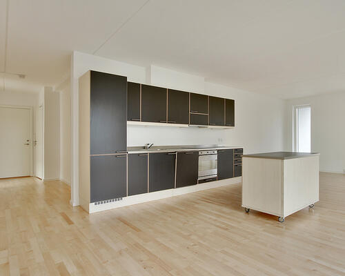 3 værelses lejlighed i København S