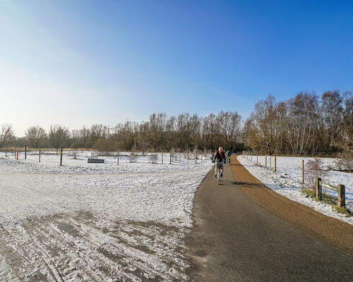 3 værelses lejlighed i København S