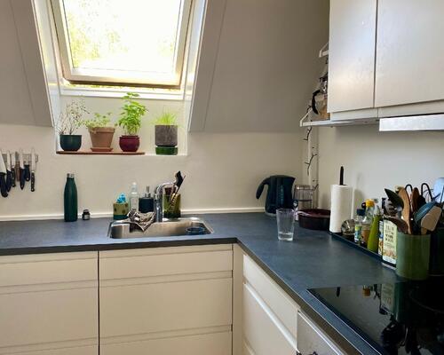 2 værelses hus i Brønshøj