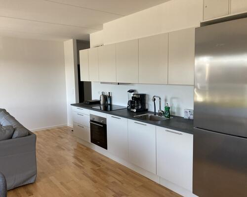 3 værelses lejlighed i Aalborg Øst