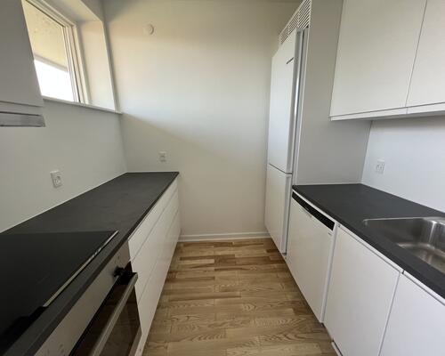 Nyrenoveret 2-værelses