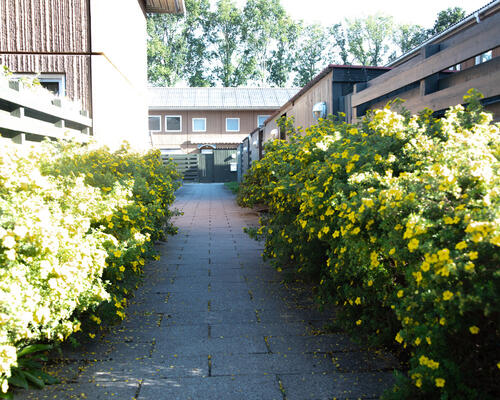 1 værelses hus i Hvidovre