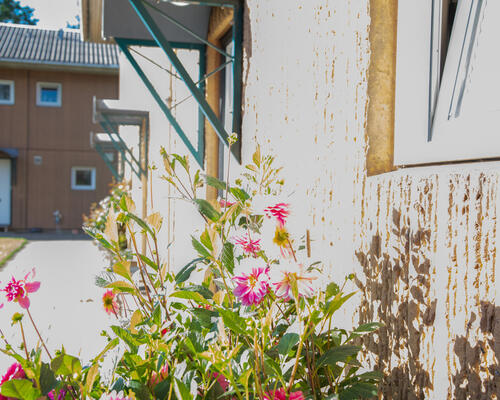 1 værelses hus i Hvidovre