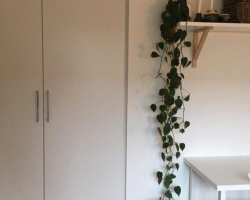 Delevenlig 2-værelses lejlighed med egen altan