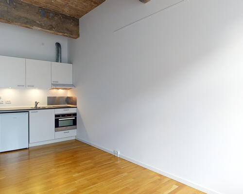 1-værelses studiebolig med depotrum