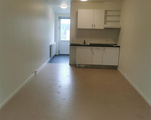 1 værelses hus i Hobro