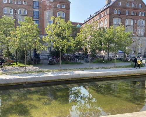 4 værelses lejlighed i København S