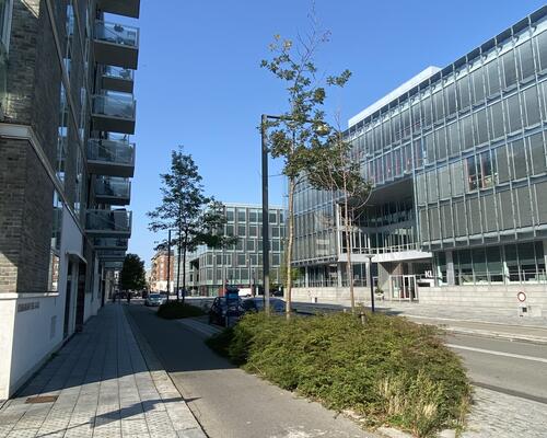 4 værelses lejlighed i København S