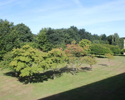 3 værelses lejlighed i Frederikshavn