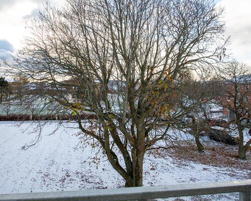 3 værelses lejlighed i Frederikshavn