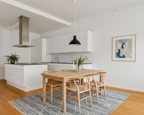 Kæmpe terrasse, altan og 2 badeværelser midt i indre by