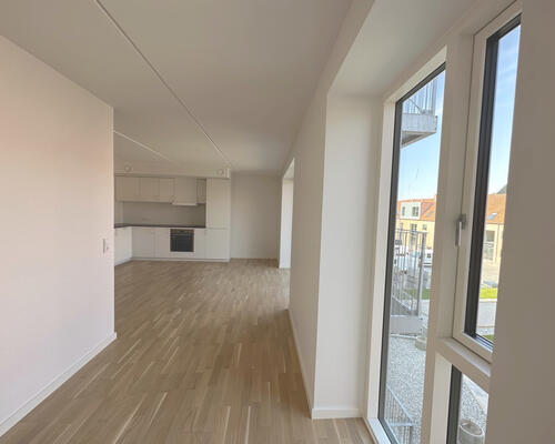 1 værelses lejlighed i Viborg