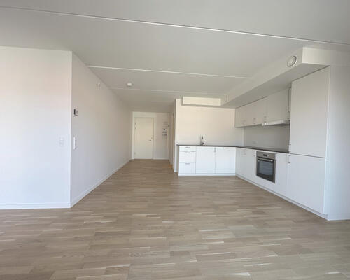 1 værelses lejlighed i Viborg