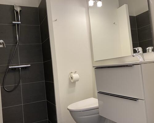 2 værelses lejlighed i Viborg