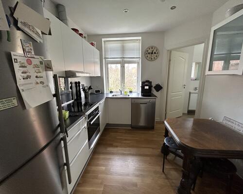 Stor, flot og nyere renoveret lejlighed mellem Østerstrand og centrum