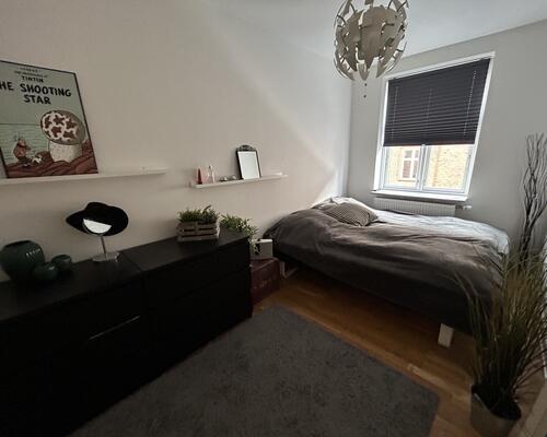 Stor, flot og nyere renoveret lejlighed mellem Østerstrand og centrum