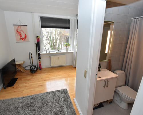 Lys og indbydende lejlighed i Aalborgs hjerte